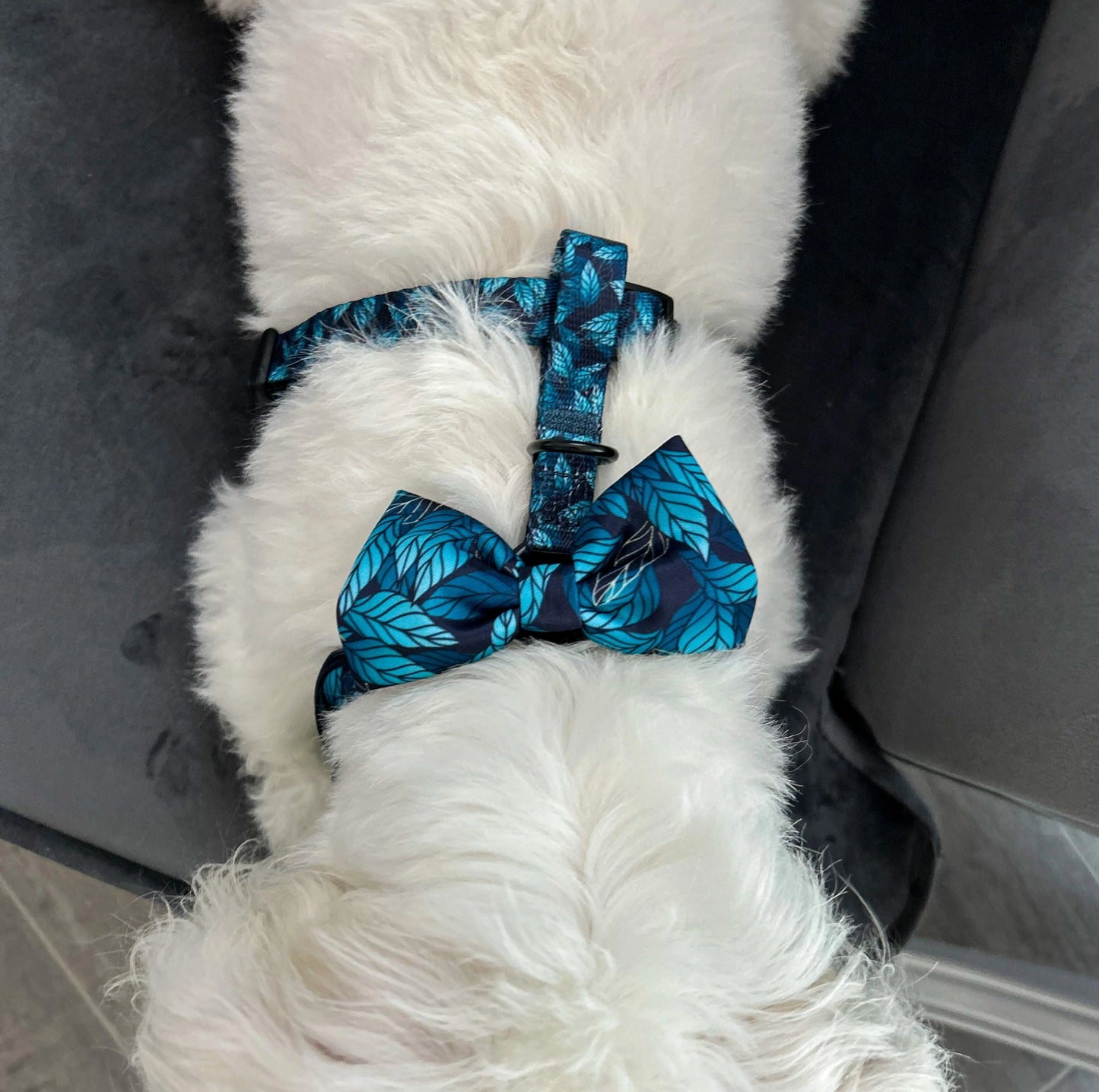 Fundița Blue Jungle atașată de hamul unui bichon – un look adorabil și elegant! Acest accesoriu versatil poate fi fixat ușor pe ham sau zgardă, oferind câinelui tău un stil unic și confort pe tot parcursul plimbărilor.