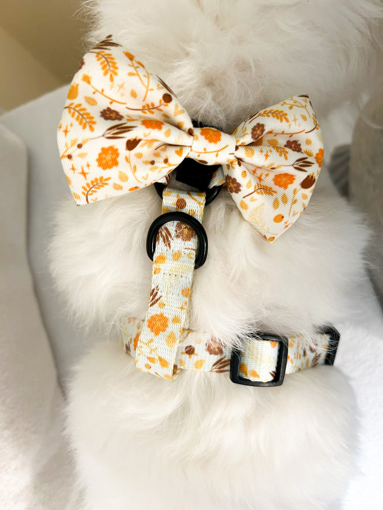 Fundita flori oranj atasata de ham pe un bichon