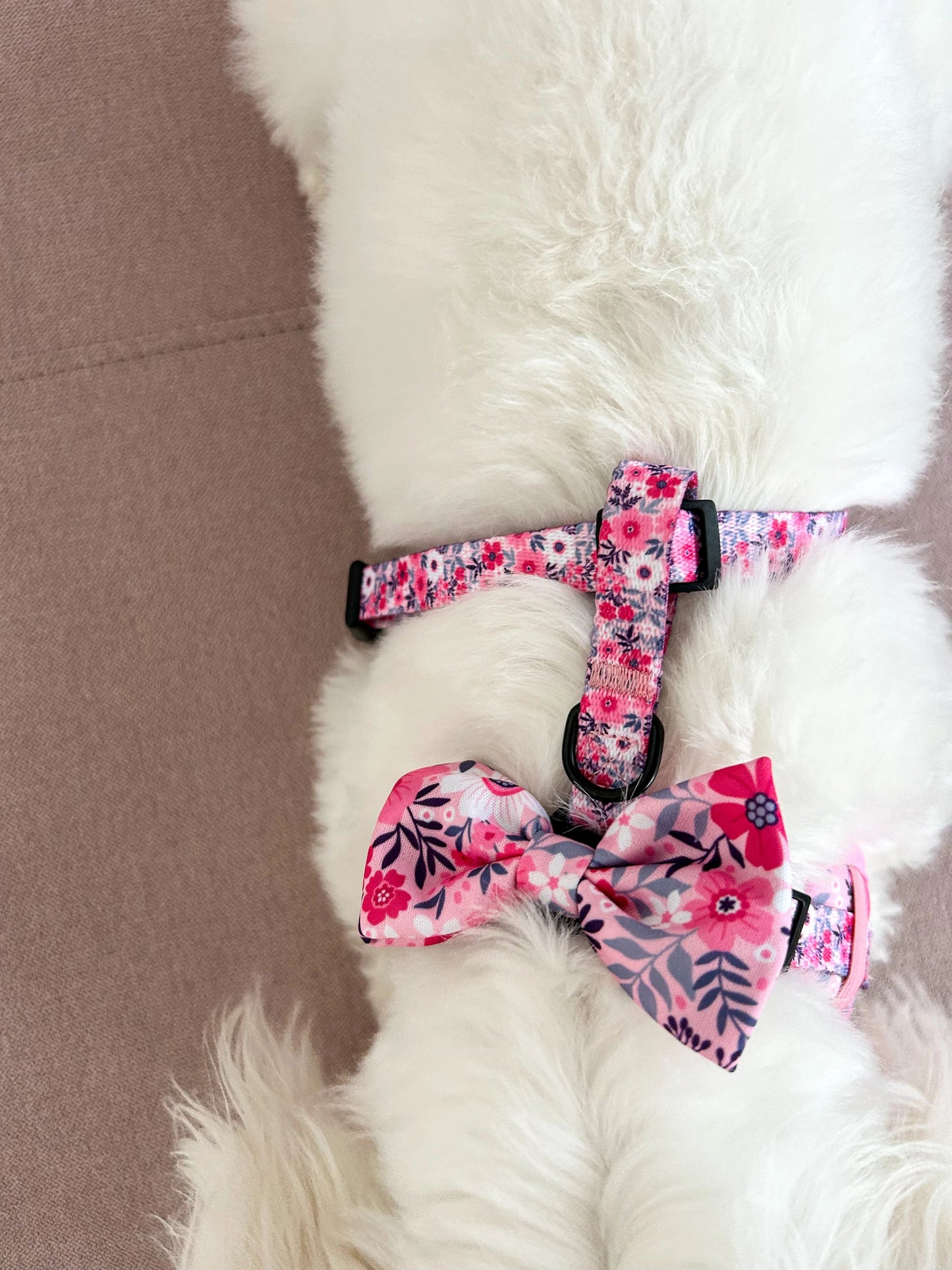 Fundița Pink Petals atașată de hamul unui bichon – un accesoriu adorabil și elegant pentru câini mici. Această fundiță se adaugă perfect stilului hamului, aducând o notă de rafinament și culoare fiecărei plimbări.