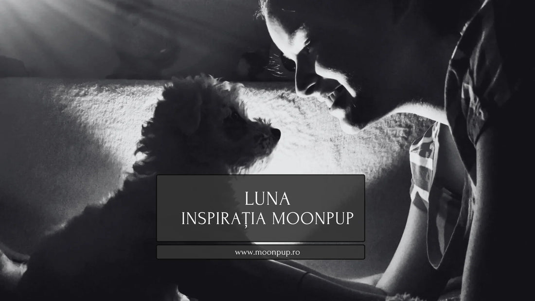 Povestea noastră, începută cu Luna, continuă cu fiecare accesoriu Moonpup creat din dragoste și inspirație. Descoperă stilul nostru!