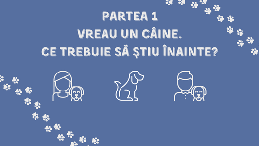 Tot ce trebuie sa stii inainte de a-ti lua un caine.