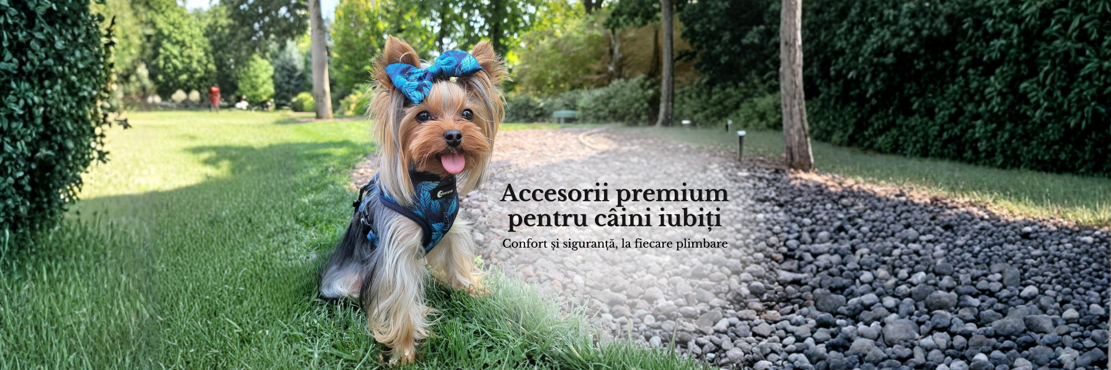 Accesorii premium pentru câini iubiți Moonpup