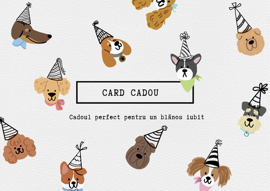 Card cadou de la MOONPUP