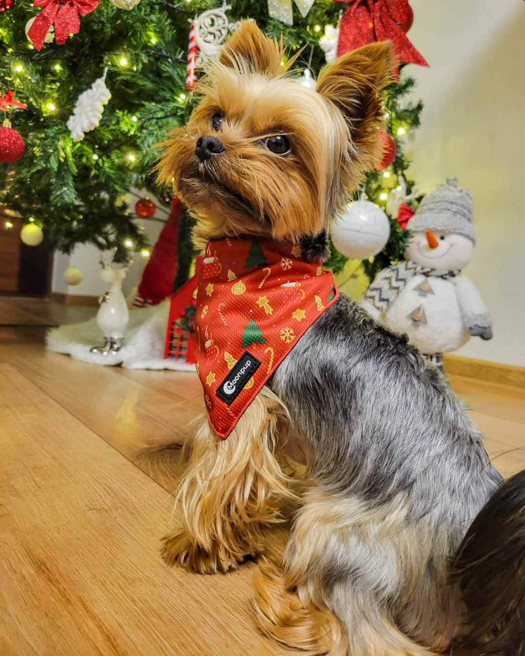 Bandană pentru câini de Crăciun - Merry and Bright, BNDMB 6