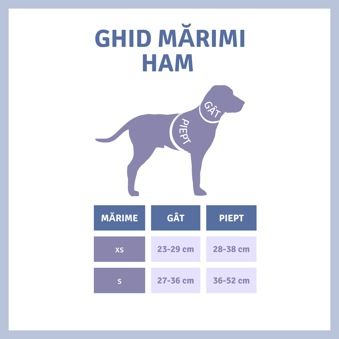 ghid marimi ham safari spots