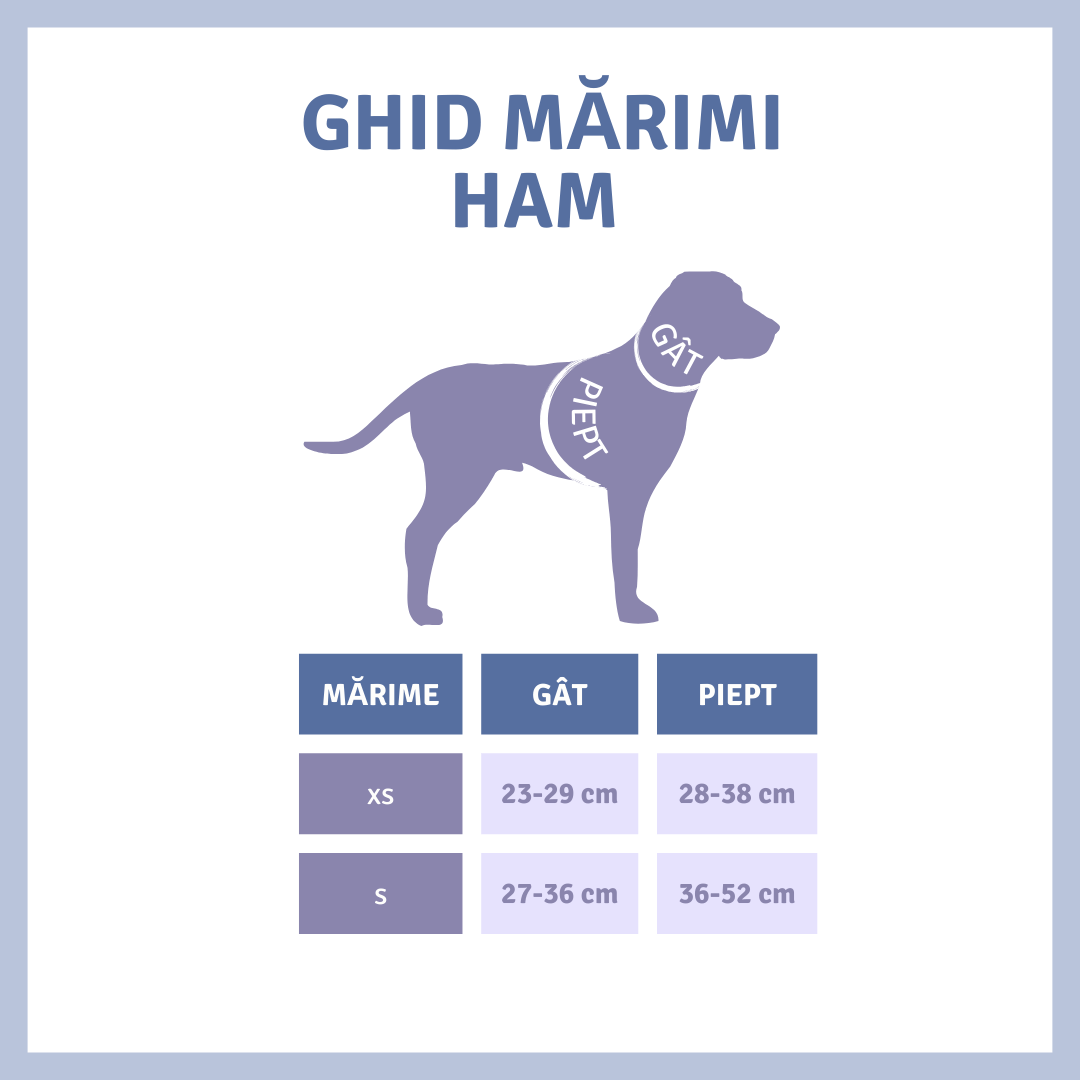 ghid marimi pentru ham