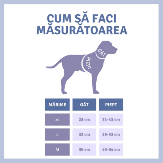 Cum sa faci masuratorile pentru hamul ajustabil