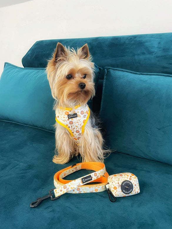 Set purtat de Printul Maxito, yorkshire terrier. Ham pentru caine de talie mica